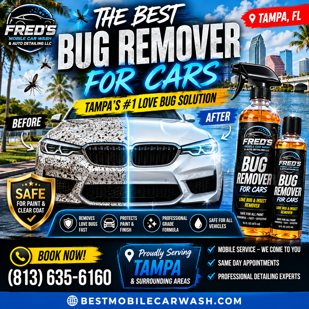 Love Bugs in Tampa: Why Professional Car Detailing Is Essential During Love Bug Season
